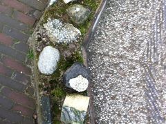 -和平宫