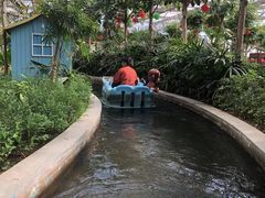 -南宫五洲植物乐园