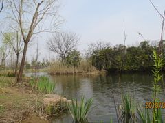 -上海长兴岛郊野公园