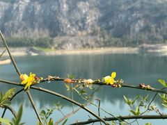 -铜锣山矿山公园