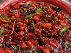 干煸鳝鱼-拈一筷子·宜宾江湖菜(十一街店)