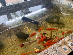 -Siam泰餐厅(水上公园店)