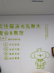 -凡碧诗毛孔清洁收细