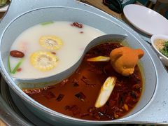 青瓷麻辣锅-青瓷火锅料理(西单大悦城店)