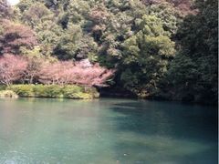 iphone_upload_pic-九溪烟树