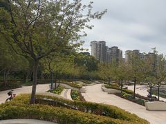 -新江湾城公园