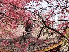 -杭州植物园