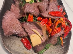 -蘑统田下·野生菌火锅