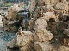-西安秦岭野生动物园