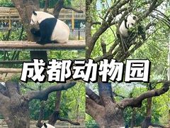 -成都动物园