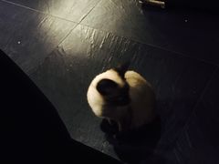 -吱咖啡西式简餐