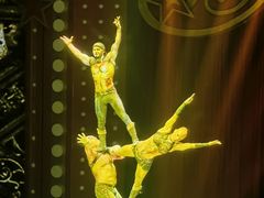 -珠海横琴长隆《卡卡虎奇遇记》