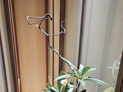 -名岛家宴(龙塔店)