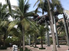 -亚马逊丛林水乐园