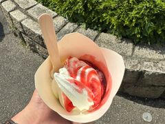 -麦当劳(海洋公园店)