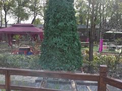 -洪湖家庭农场·团建·露营·会议