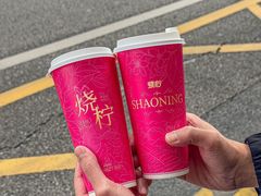 -烧柠·柠檬茶(大融城店)