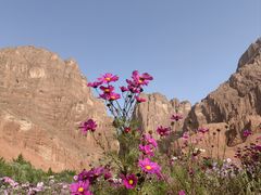 -天山神秘大峡谷