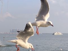 -滇池海埂公园