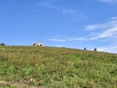 -灵山