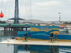 -秦皇岛乐岛海洋王国