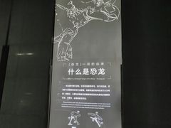 -中国西峡恐龙遗迹园