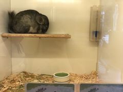 -龙猫仔乐园(惠福东路店)