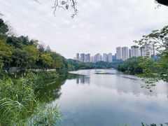-重庆彩云湖湿地公园
