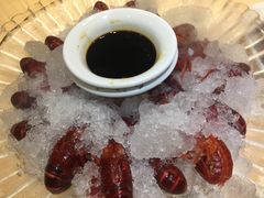 -怪怪龙虾·澳洲蓝龙王·深夜食堂(惊驾路店)