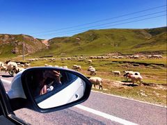 -青海湖国家重点风景名胜区