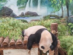 -杭州动物园