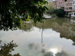 -小洲村