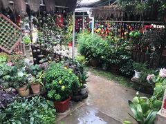 -又见炊烟．纳西小院云南菜