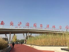 -西安浐灞国家湿地公园