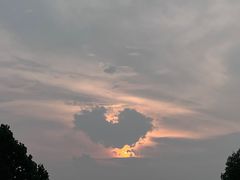 -天鹅湖体育公园