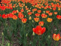 -长春公园(普阳街道)