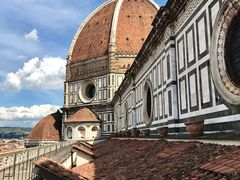 -圣母百花大教堂穹顶