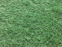 -金海阁海鲜火锅