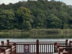 -海南热带雨林国家公园吊罗山景区