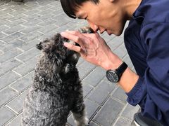 -萌兽医馆·眼科·异宠专科(三里屯店)