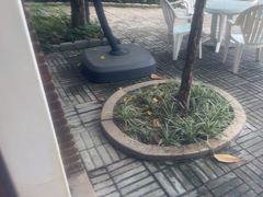 -碧水湾温泉