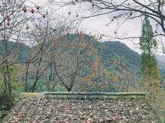 -丹山赤水风景名胜区