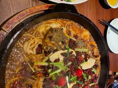 -老板恋上鱼(恒隆广场店)