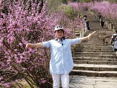 -天台山赤城山景区