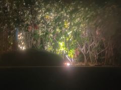 -太白山御龙湾温泉