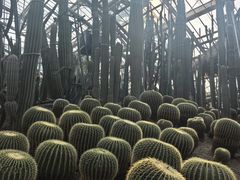 -南山植物园
