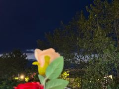 -宝荣鱼馆·临湖之宴(千岛湖店)