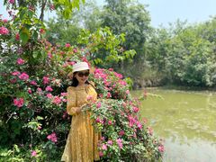 -白鹭湾湿地公园