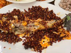 -西塔大冷面(市府大路店)