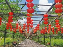 -东平国家森林公园